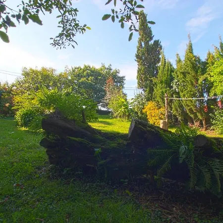 Hébergement de vacances La Casa Del Bosco Suances